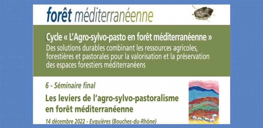 Les Leviers De L’agro-sylvo-pastoralisme En Forêt Méditerranéenne ...