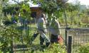 Visite académique des jardins familiaux de Stains et de la Ferme des Possibles image 10